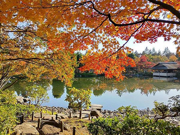 秋色獵人東京旅：日本庭園