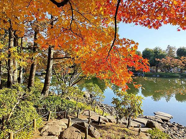 秋色獵人東京旅：日本庭園