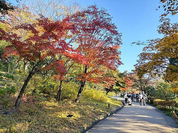 秋色獵人東京旅：日本庭園