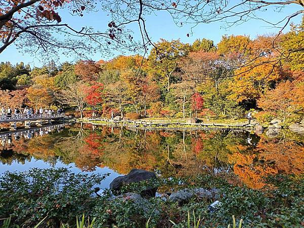 秋色獵人東京旅：日本庭園