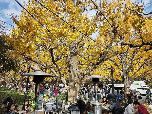 秋色獵人東京旅：青山  皇家花園咖啡館（神宮外苑1）