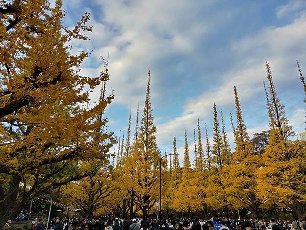 秋色獵人東京旅：青山 四川料理日比谷園（神宮外苑夜景）