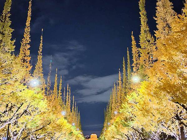秋色獵人東京旅：青山 四川料理日比谷園（神宮外苑夜景）