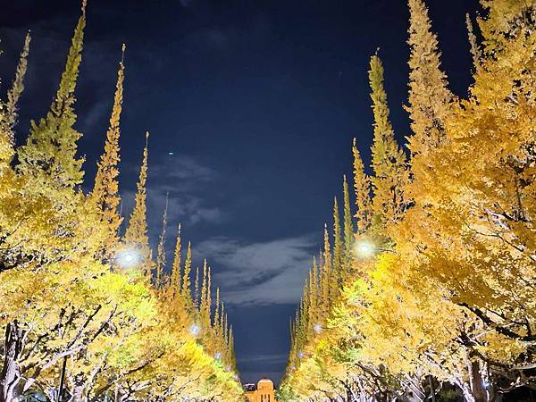 秋色獵人東京旅：青山 四川料理日比谷園（神宮外苑夜景）