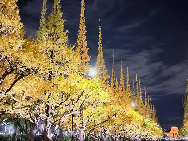 秋色獵人東京旅：青山 四川料理日比谷園（神宮外苑夜景）