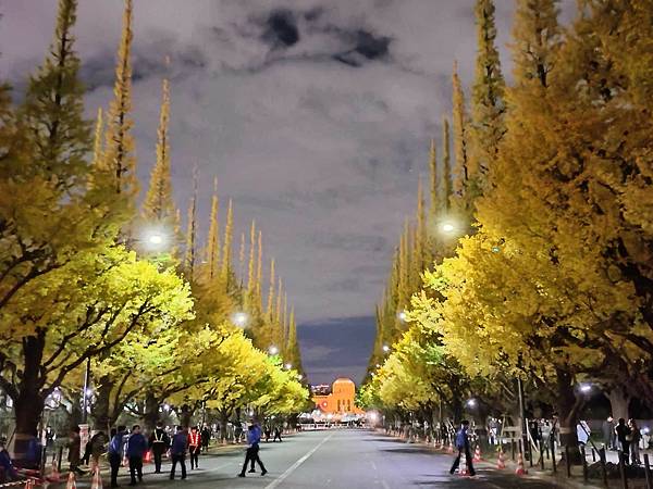 秋色獵人東京旅：青山 四川料理日比谷園（神宮外苑夜景）