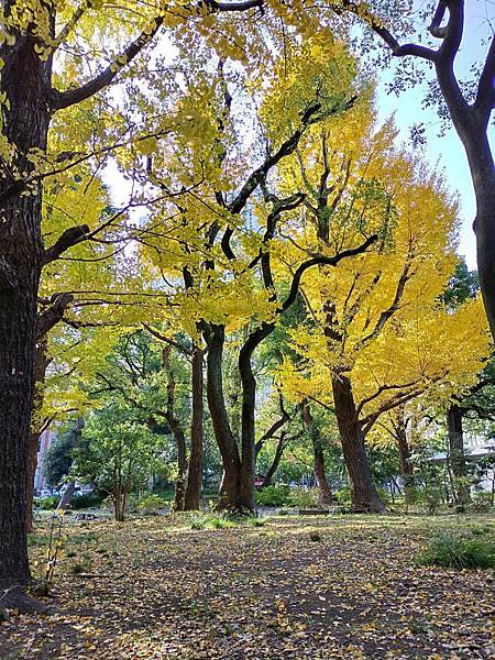 日比谷公園