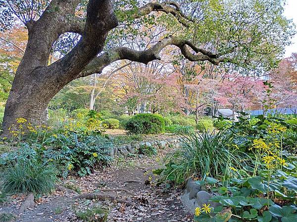 日比谷公園