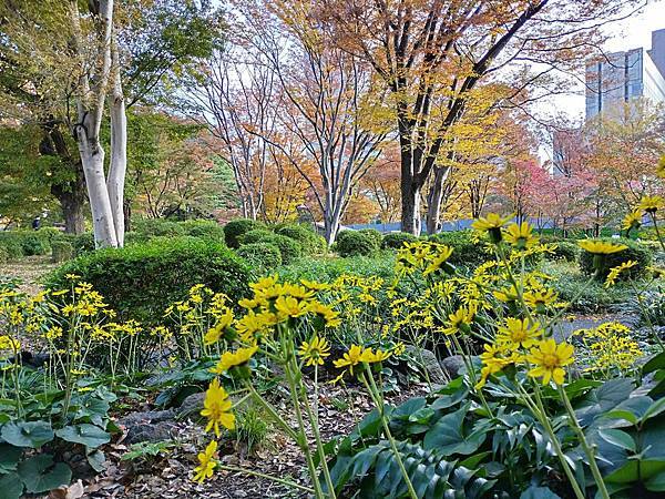 秋色獵人東京旅：金黃燦爛 日比谷公園