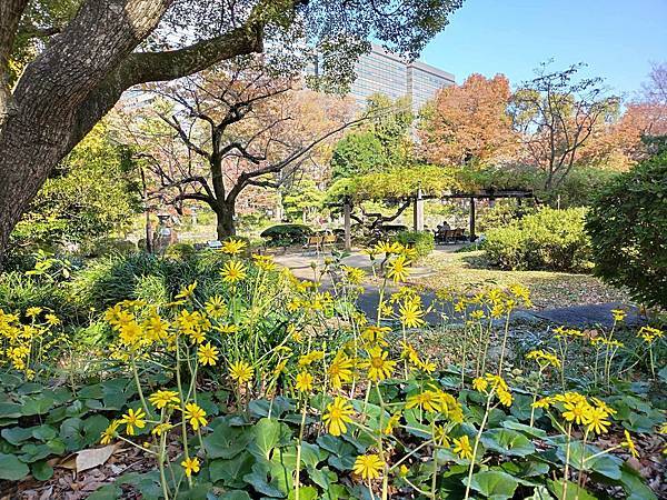 秋色獵人東京旅：金黃燦爛 日比谷公園