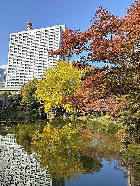 秋色獵人東京旅：金黃燦爛 日比谷公園