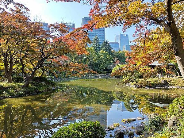 秋色獵人東京旅：金黃燦爛 日比谷公園