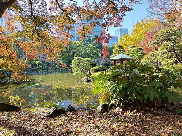 秋色獵人東京旅：金黃燦爛 日比谷公園