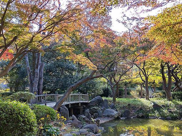 秋色獵人東京旅：金黃燦爛 日比谷公園