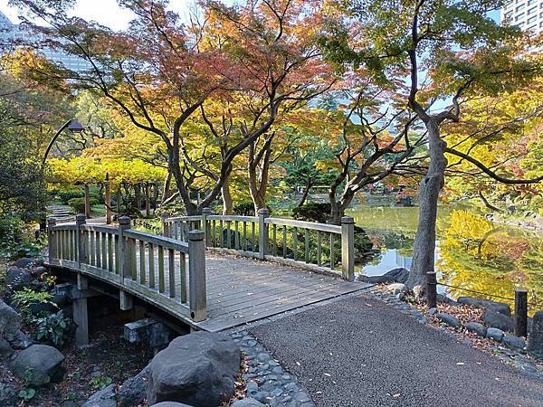 秋色獵人東京旅：金黃燦爛 日比谷公園