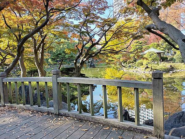 秋色獵人東京旅：金黃燦爛 日比谷公園