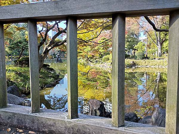 秋色獵人東京旅：金黃燦爛 日比谷公園