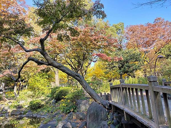 秋色獵人東京旅：金黃燦爛 日比谷公園