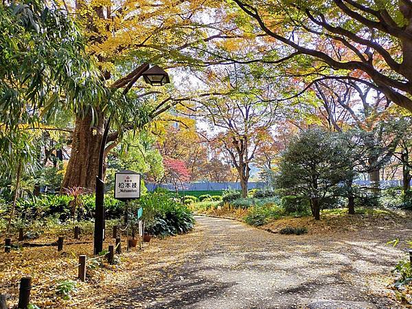 秋色獵人東京旅：日比谷公園 松本樓