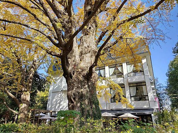 秋色獵人東京旅：日比谷公園 松本樓