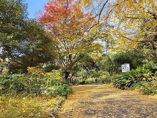 秋色獵人東京旅：日比谷公園 松本樓