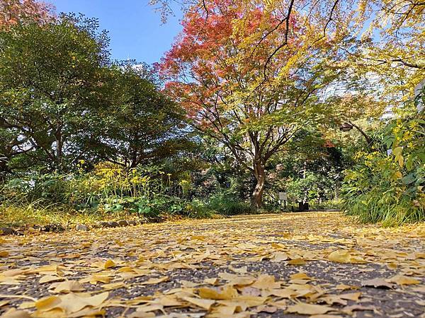 秋色獵人東京旅：日比谷公園 松本樓
