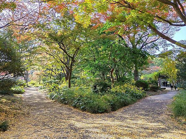 秋色獵人東京旅：日比谷公園 松本樓