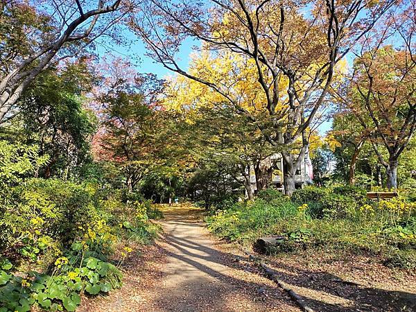 秋色獵人東京旅：日比谷公園 松本樓