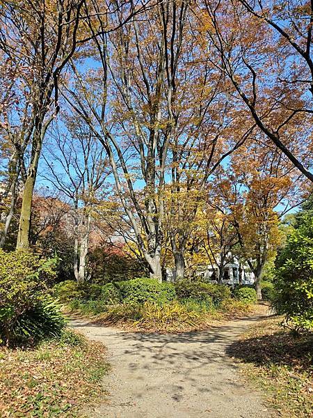 秋色獵人東京旅：日比谷公園 松本樓