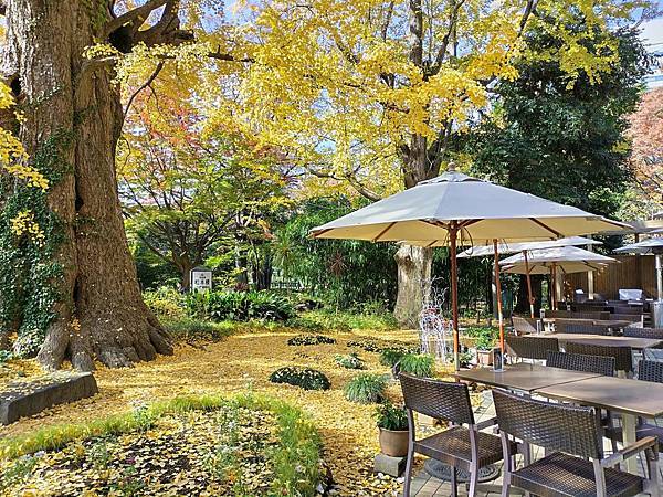 秋色獵人東京旅：日比谷公園 松本樓