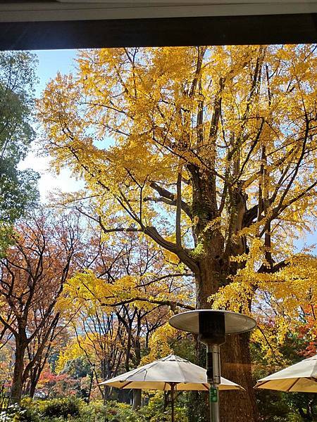 秋色獵人東京旅：日比谷公園 松本樓