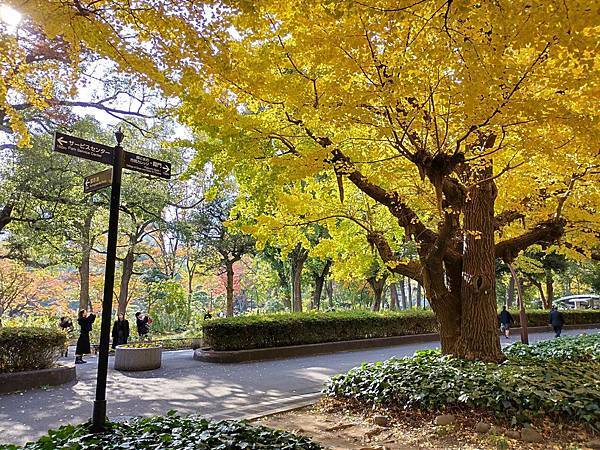 秋色獵人東京旅：東京中城日比谷 林屋新兵衛