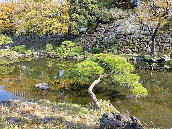 秋色獵人東京旅：