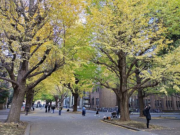 東京大學