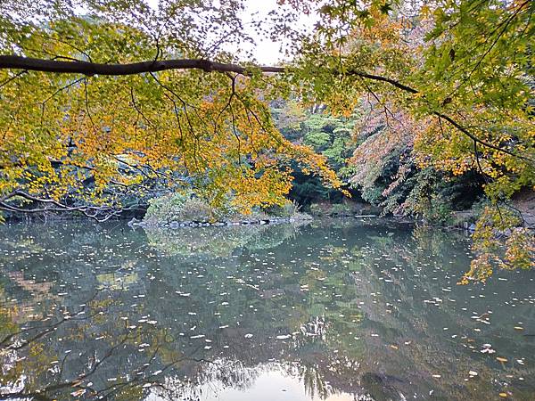 東京大學