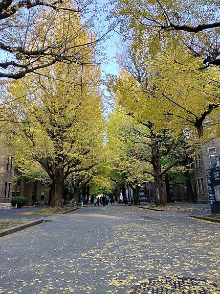 東京大學