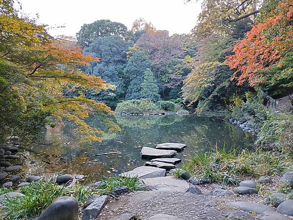 東京大學