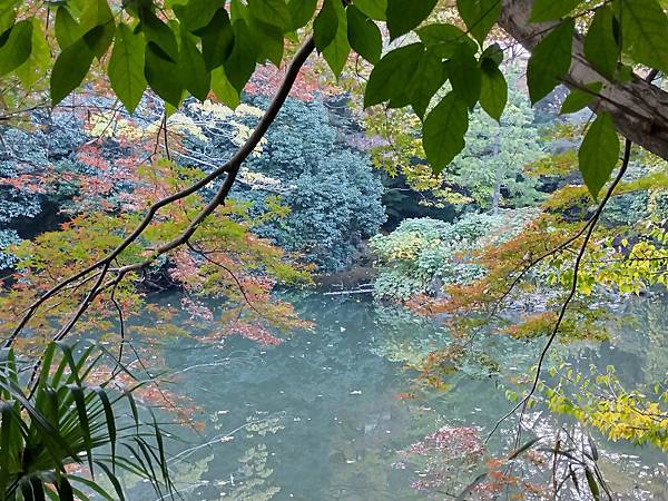 東京大學