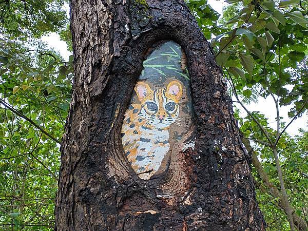 日月潭玉山國家管理處 水里營業中心