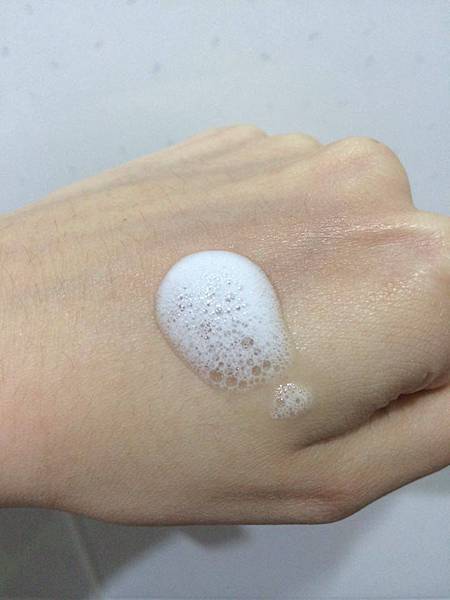 12966829_1125925810792748_1648755700_n.jpg 試用