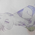 DSCF1963.JPG