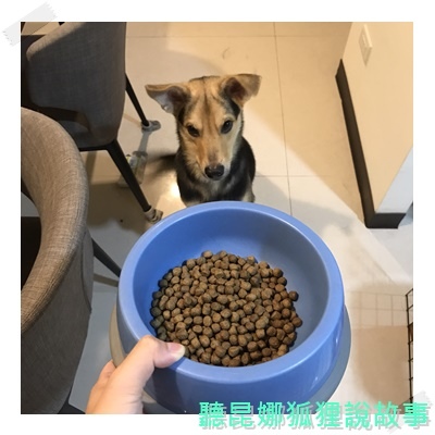 魏大夫_170802_0008.jpg 魏大夫_170802_0008.jpg