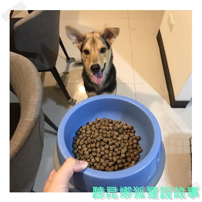 魏大夫_170802_0010.jpg 魏大夫_170802_0010.jpg