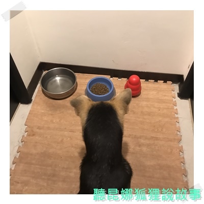 魏大夫_170802_0018.jpg 魏大夫_170802_0018.jpg