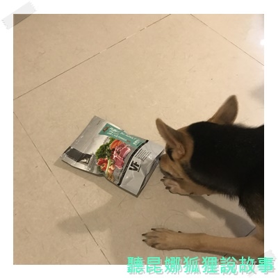 魏大夫_170802_0005.jpg 魏大夫_170802_0005.jpg