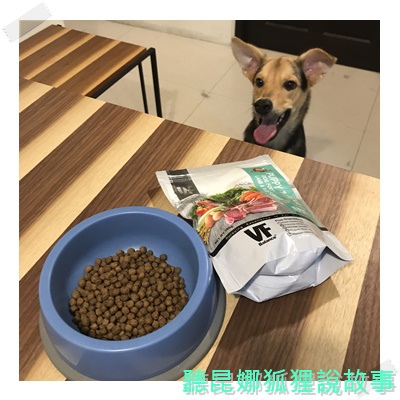 魏大夫_170802_0017.jpg 魏大夫_170802_0017.jpg