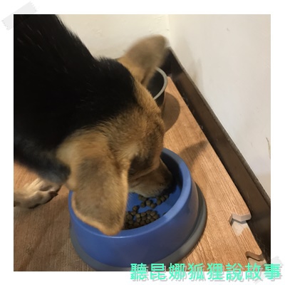 魏大夫_170802_0022.jpg 魏大夫_170802_0022.jpg