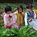 DSC06990.JPG