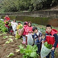DSC07408.JPG