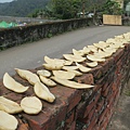 IMG_5649.JPG